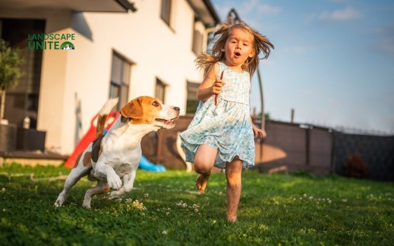 10 best dog-friendly xeriscape backyard ideas transfer your homes