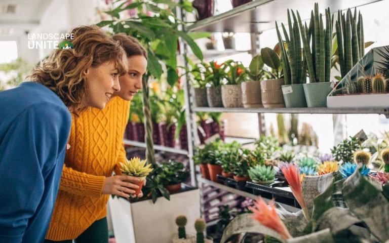 10 Best succulents for xeriscaping: Low-water plants that thrive