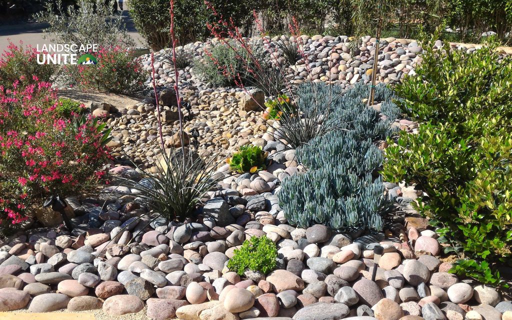 15 low-maintenance xeriscaping ideas for beginners