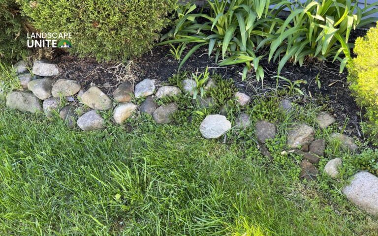 4 easy ways on how to get rid of grass in flower beds (complete guide)