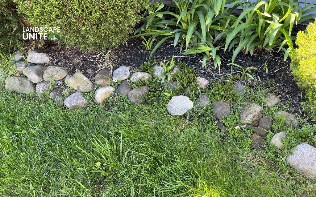 4 easy ways on how to get rid of grass in flower beds (complete guide)