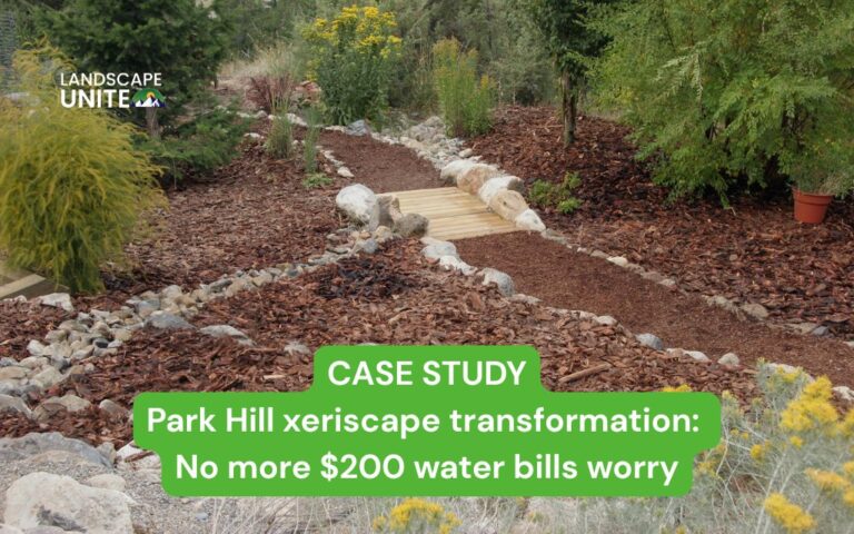 CASE STUDY Park Hill xeriscape transformation: No more $200 water bills worry