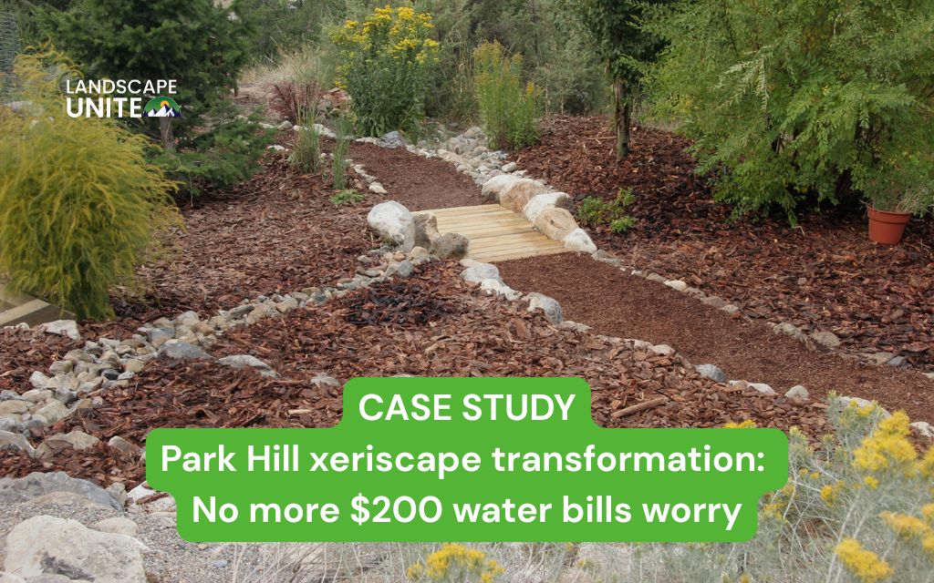 CASE STUDY Park Hill xeriscape transformation: No more $200 water bills worry