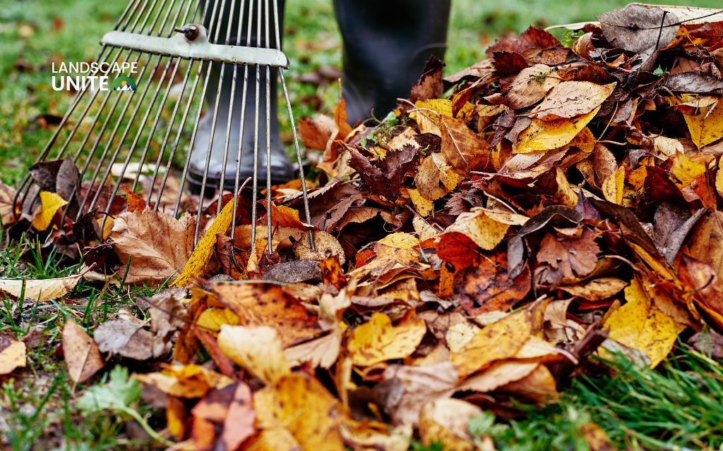 Clean off debris and leaves