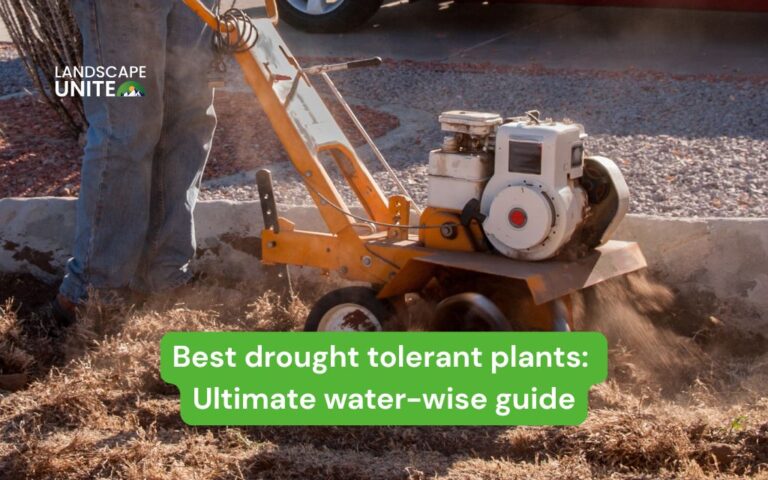 Complete guide: 8 Step how to xeriscape your yard for water savings