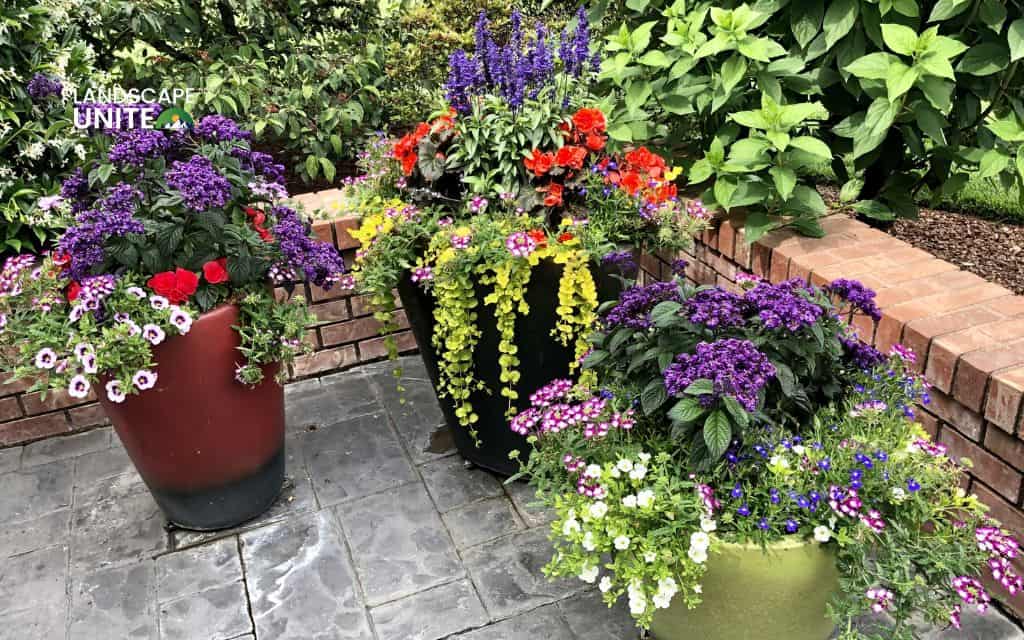 How to keep chickens out of flower beds with 10 natural & effective strategies 11 Decorate with purpose