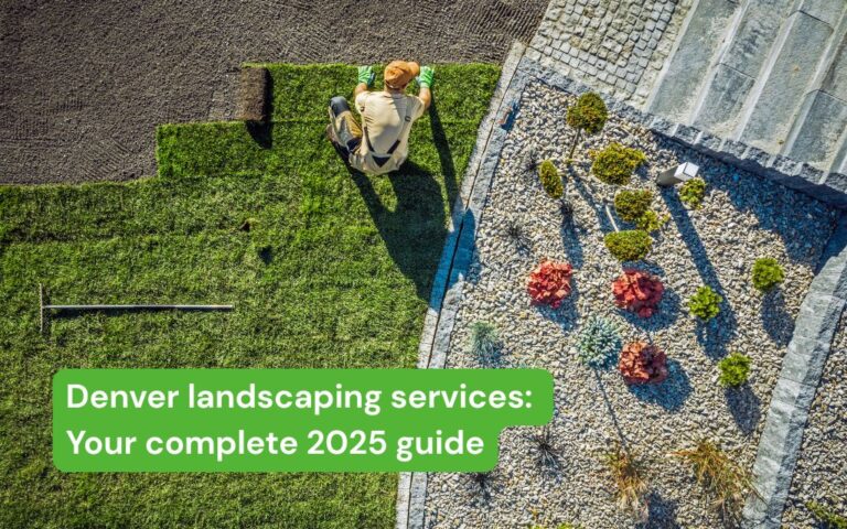 denver landscaping services your complete 2025 guide