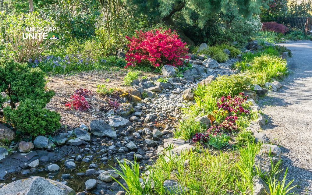 Design a dry creek bed for function and beauty