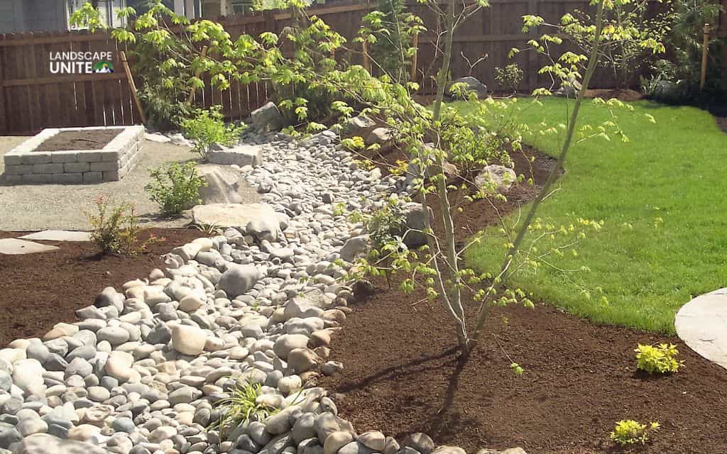 Dry creek bed vs French drain: Which drainage solution is best for your yard? 5 Disadvantages to consider