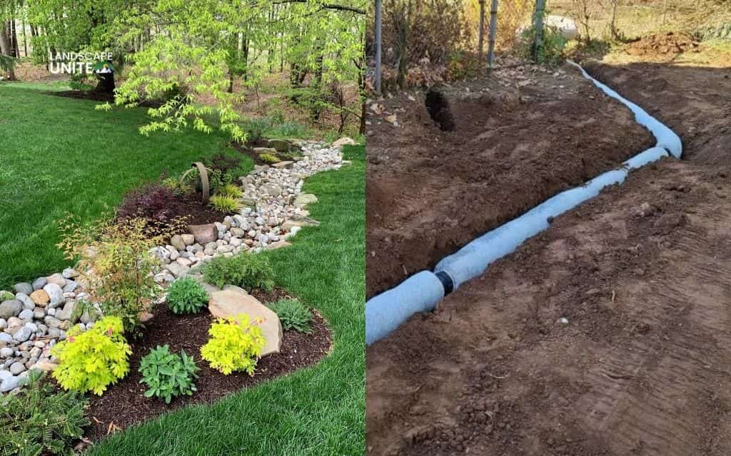 Dry creek bed vs French drain: Which drainage solution is best for your yard?