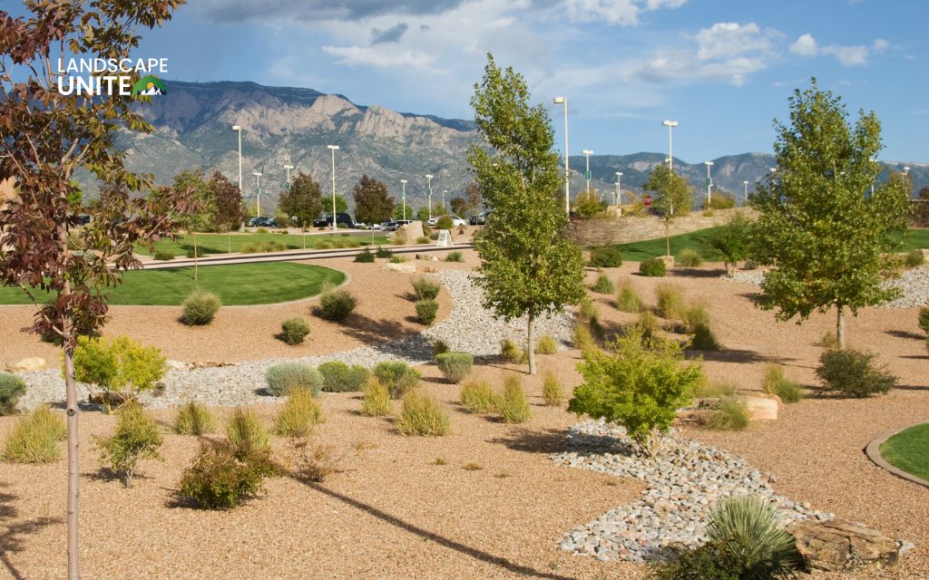 How much does xeriscaping cost in 2025? Complete price guide 3 Factors that impact your total xeriscaping cost