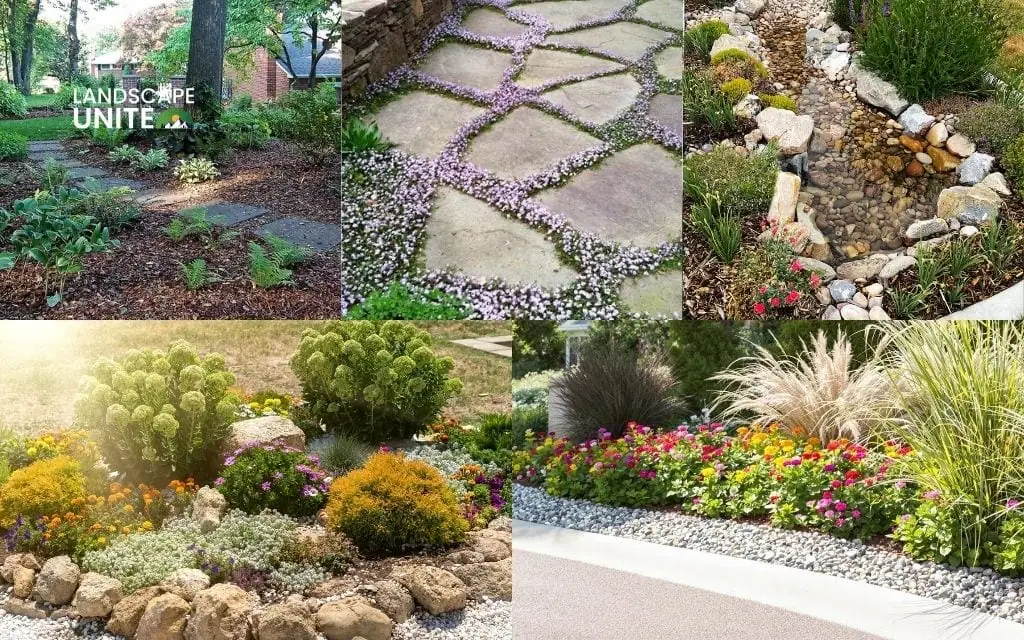 Front yard xeriscape ideas that boost curb appeal