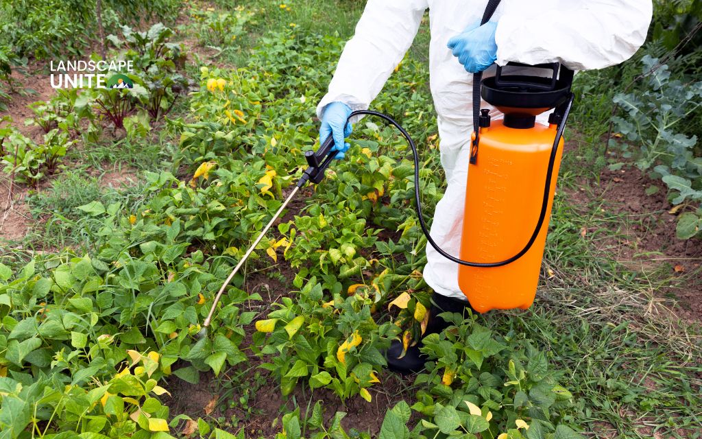 Herbicide application