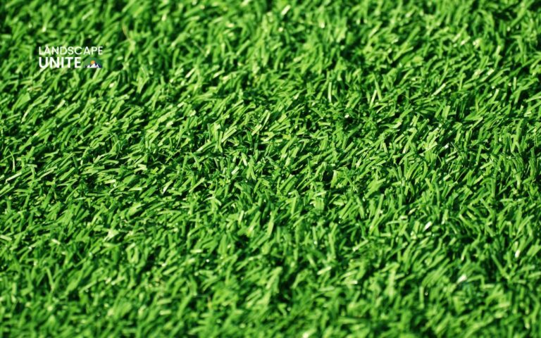 How do you maintain artificial grass? Top 10 essential tips