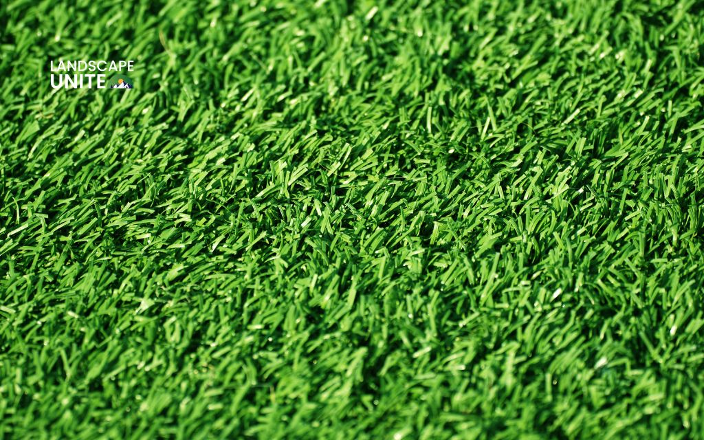 How do you maintain artificial grass? Top 10 essential tips