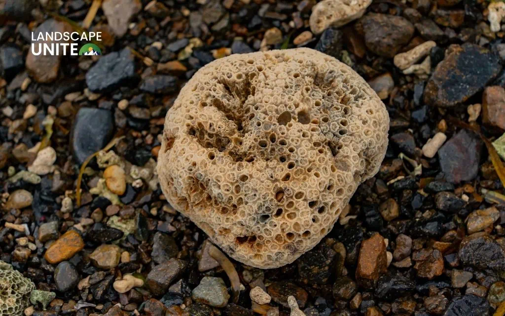 How much are large rocks for landscaping?