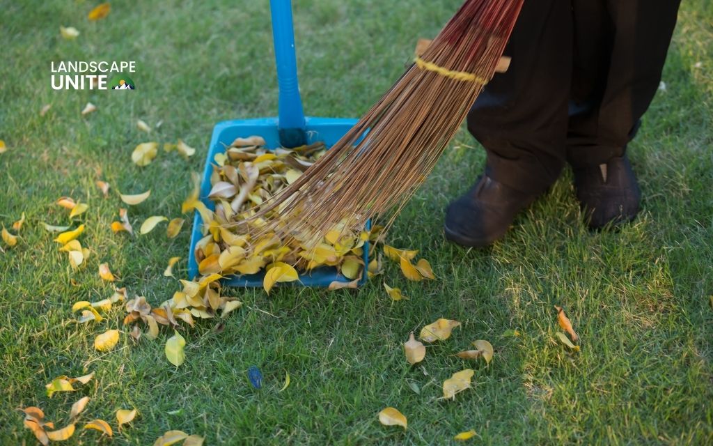 How to clean artificial grass in 4 simple steps