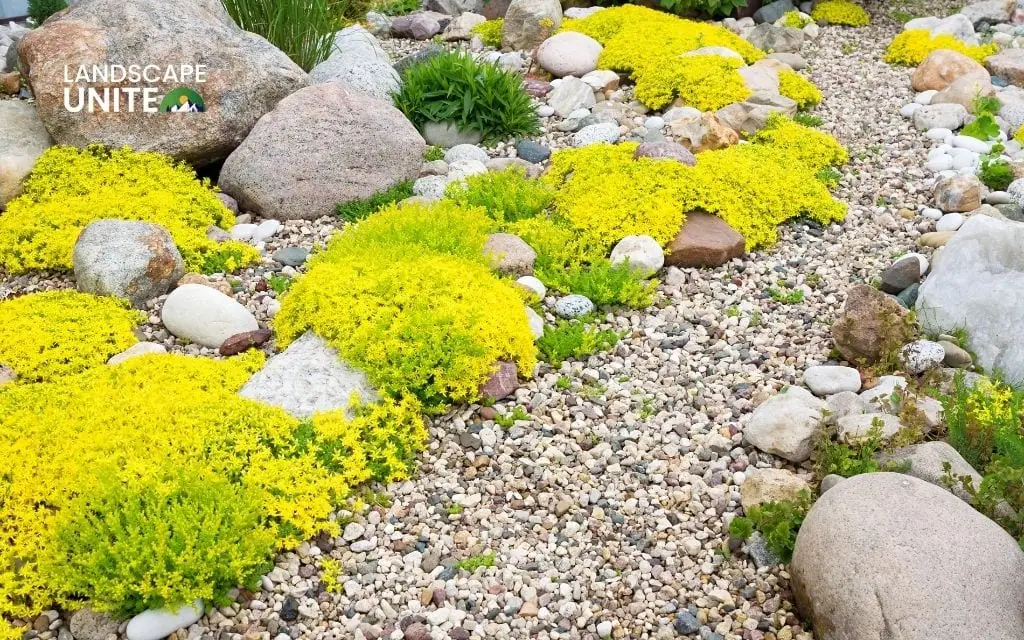 How to clean landscape rock using simple methods that work