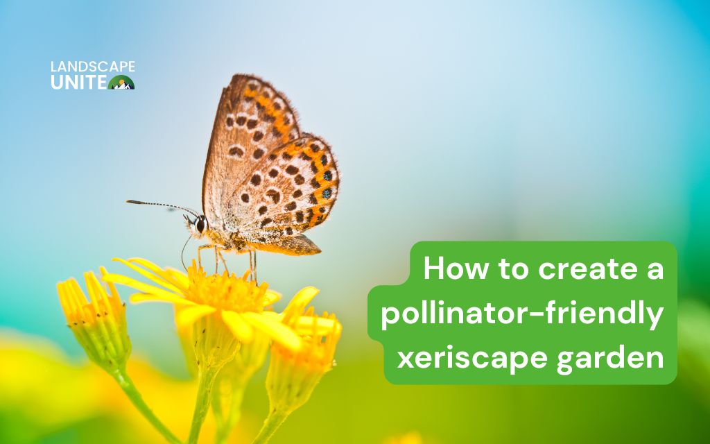 How to create a pollinator-friendly xeriscape garden that attracts bees