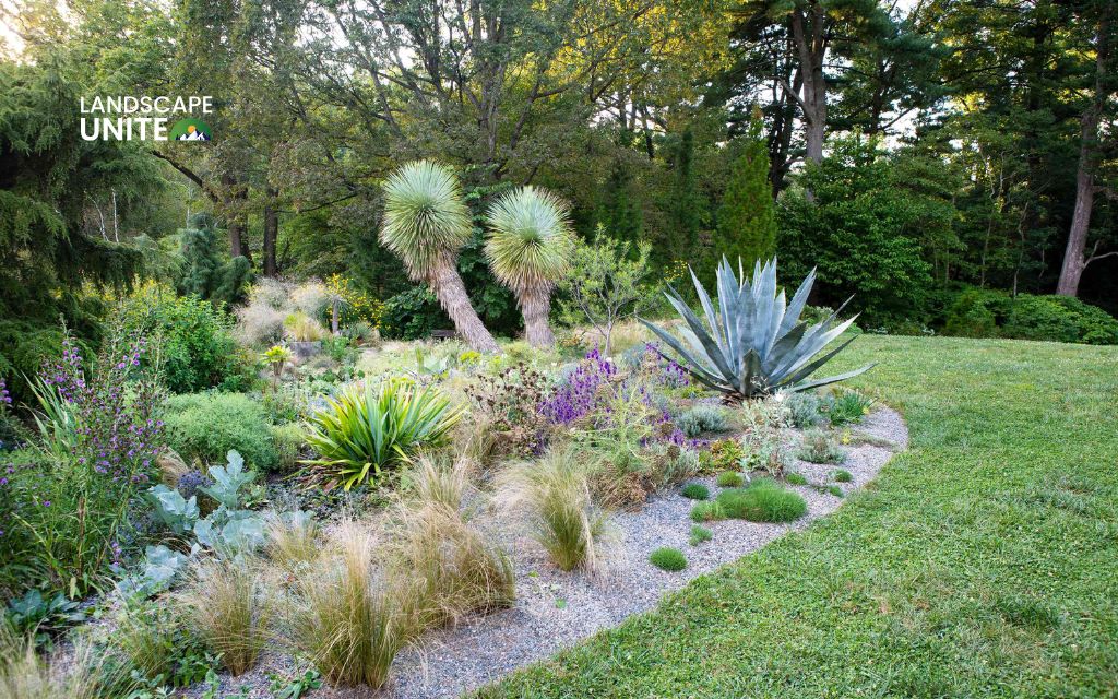 How to create a pollinator-friendly xeriscape garden