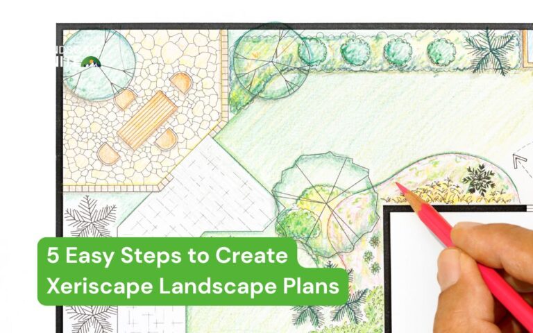 How To Plan A Xeriscape Yard Step By Step Easily