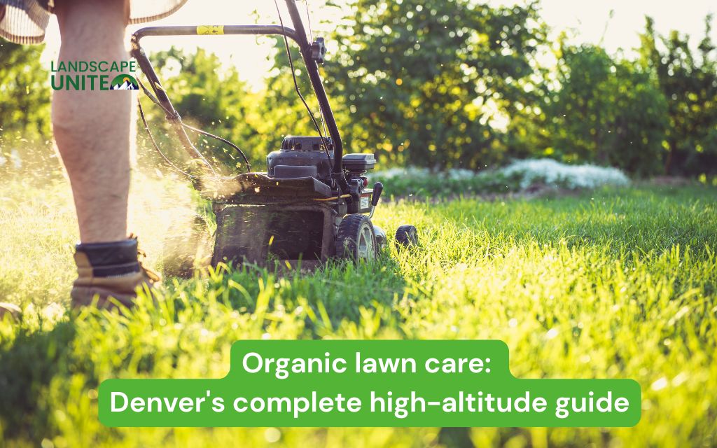 organic lawn care denvers complete high altitude guide