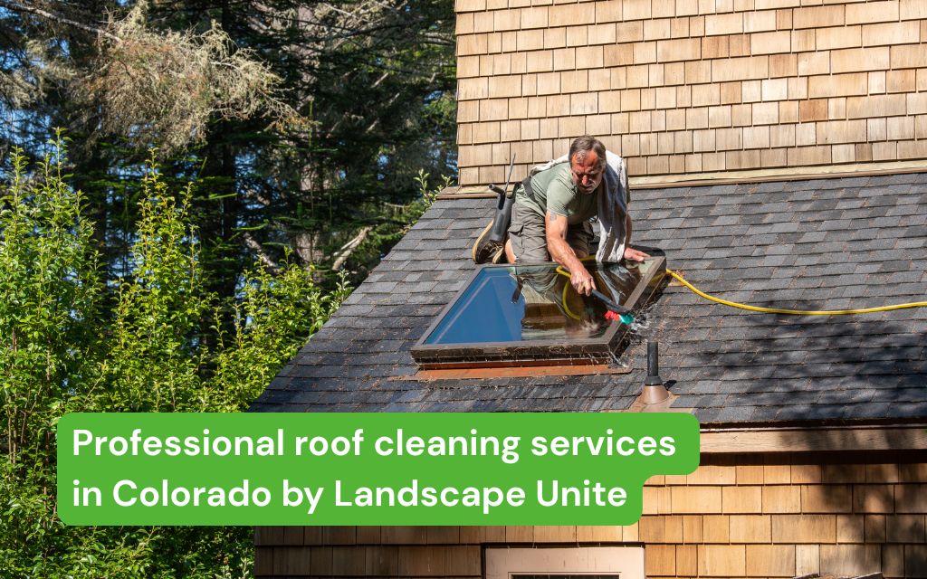 professional roof cleaning services in colorado by landscape unite