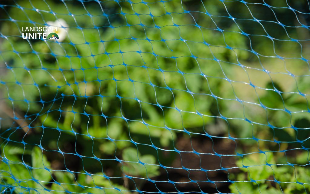 Protecting plant health while accommodating chickens