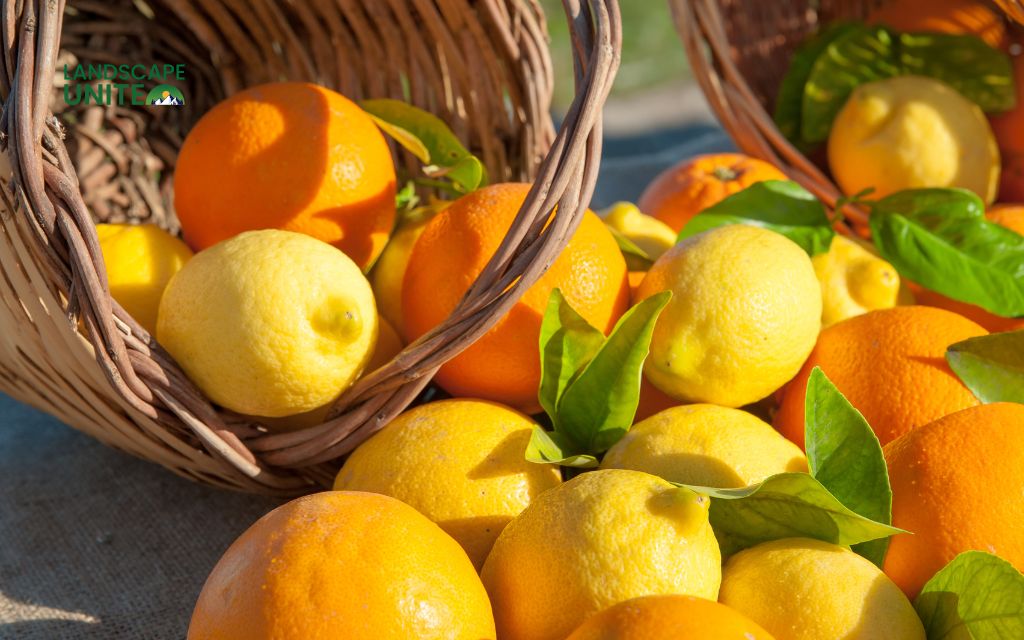 Repellents and deterrents