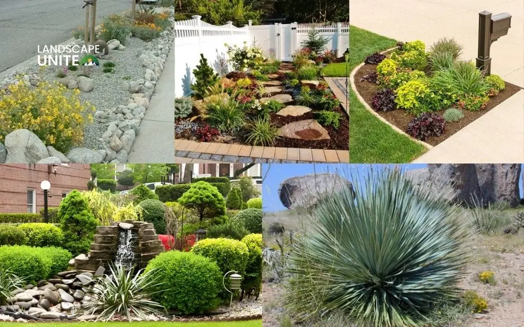 Small yard and simple xeriscape solutions