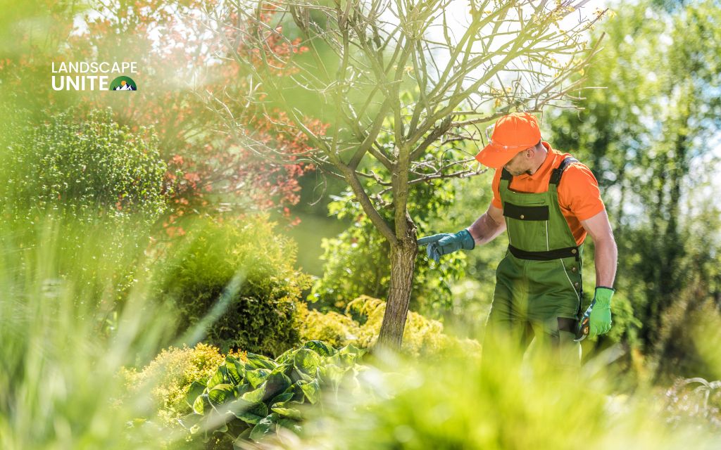 Step 1: Assess your yard's needs and climate