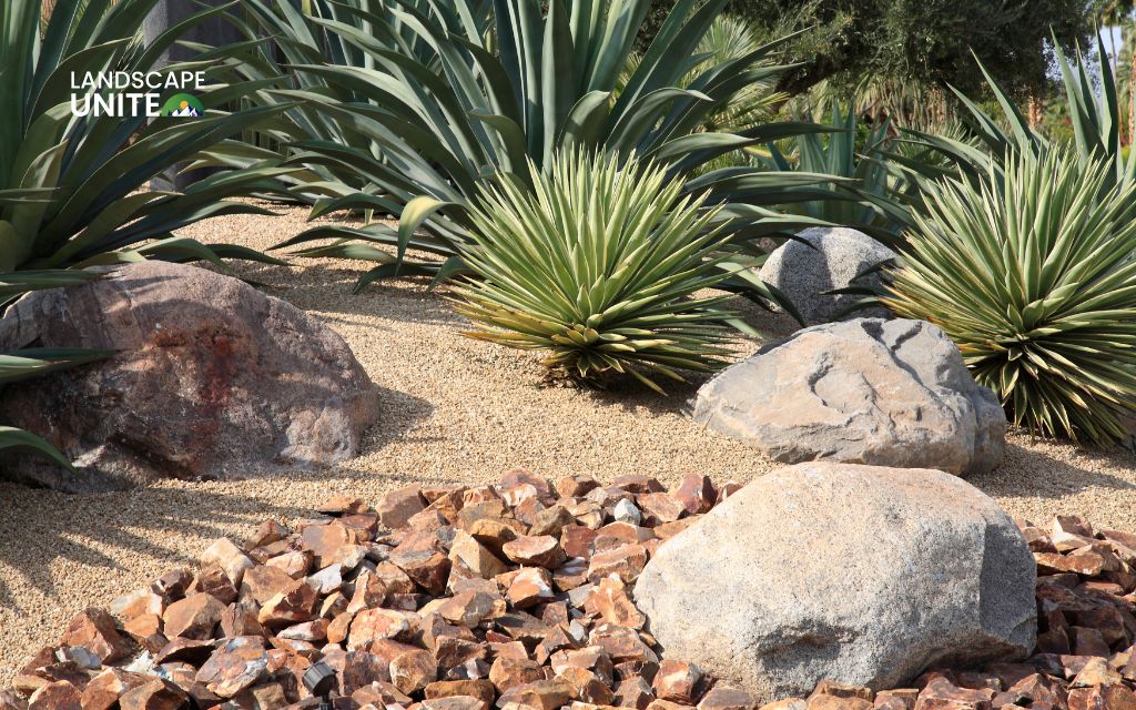 Step-by-step guide: how to xeriscape your yard