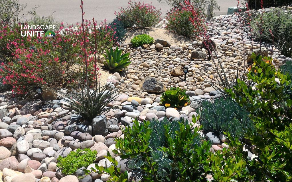 The 7 principles of xeriscaping explained