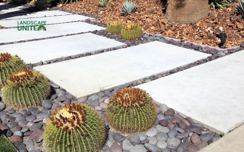 What is xeriscape? Water-smart landscaping guide with 5 benefits 3 What is xeriscape? The 7 principles of xeriscaping