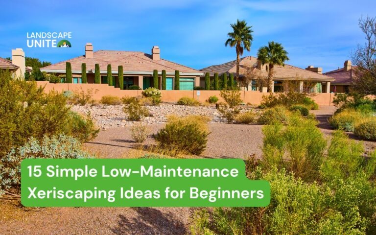 Transform your yard with 15 easy xeriscaping ideas for beginners