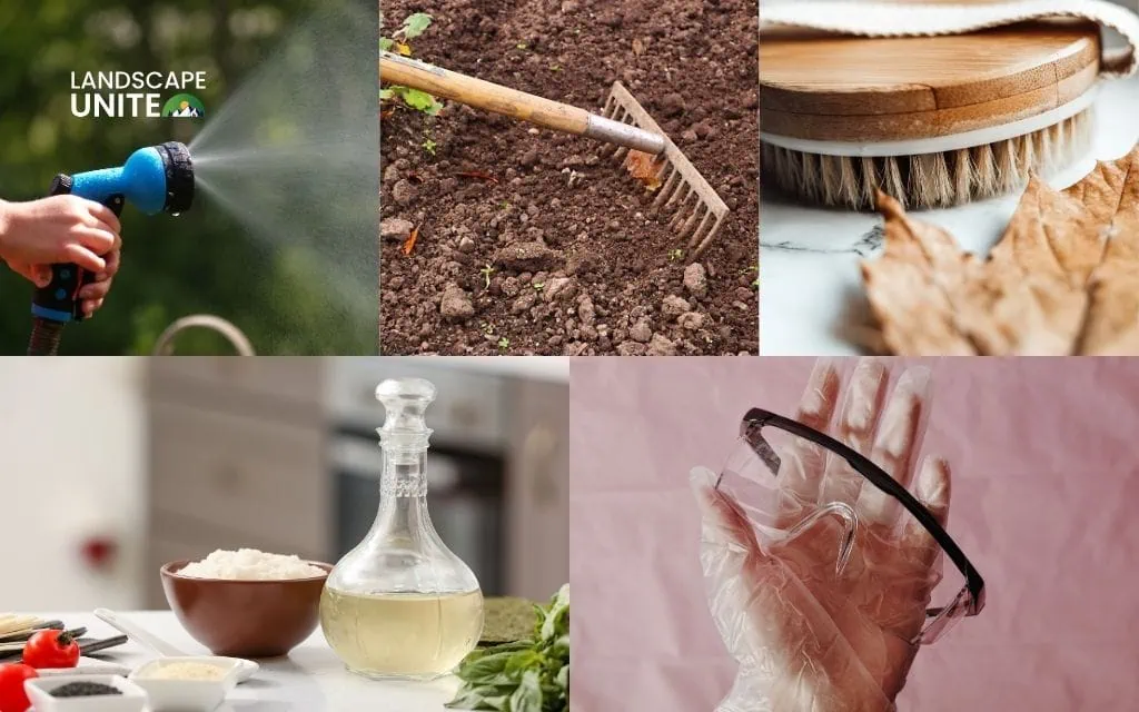 Essential tools for cleaning landscape rocks