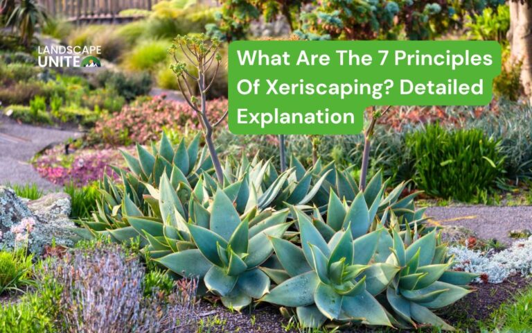 What Are The 7 Principles Of Xeriscaping? Detailed Explanation