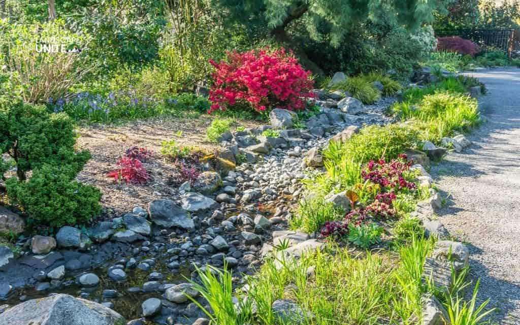 Dry creek bed vs French drain: Which drainage solution is best for your yard? 1 What is a dry creek bed?