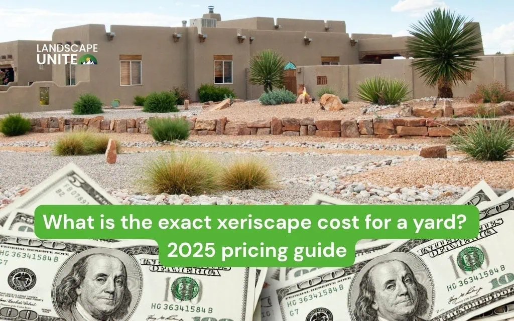 What is the exact xeriscape cost for a yard? 2025 pricing guide