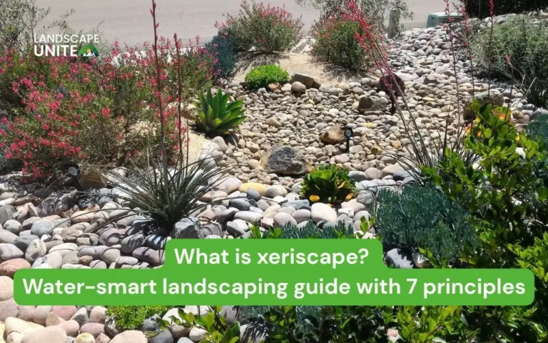 What is xeriscape? Water-smart landscaping guide with 7 principles