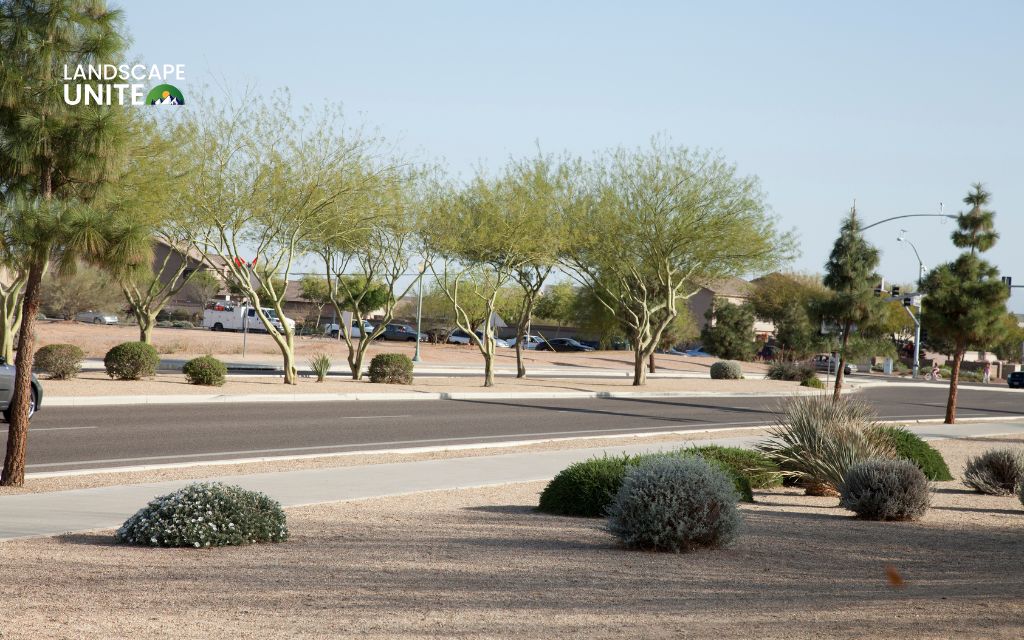 What makes xeriscaping so special?