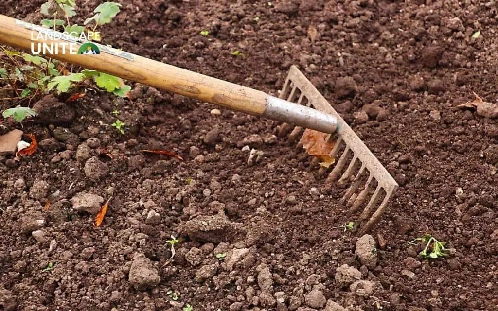When to consider professional landscape rock removal