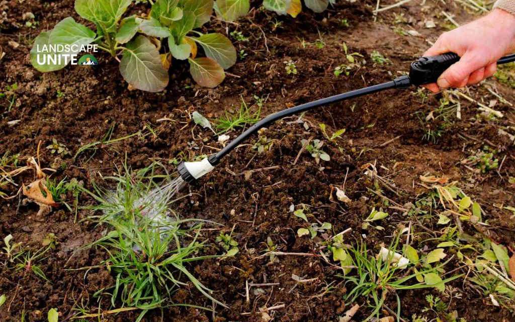 Why grass in flower beds is a problem