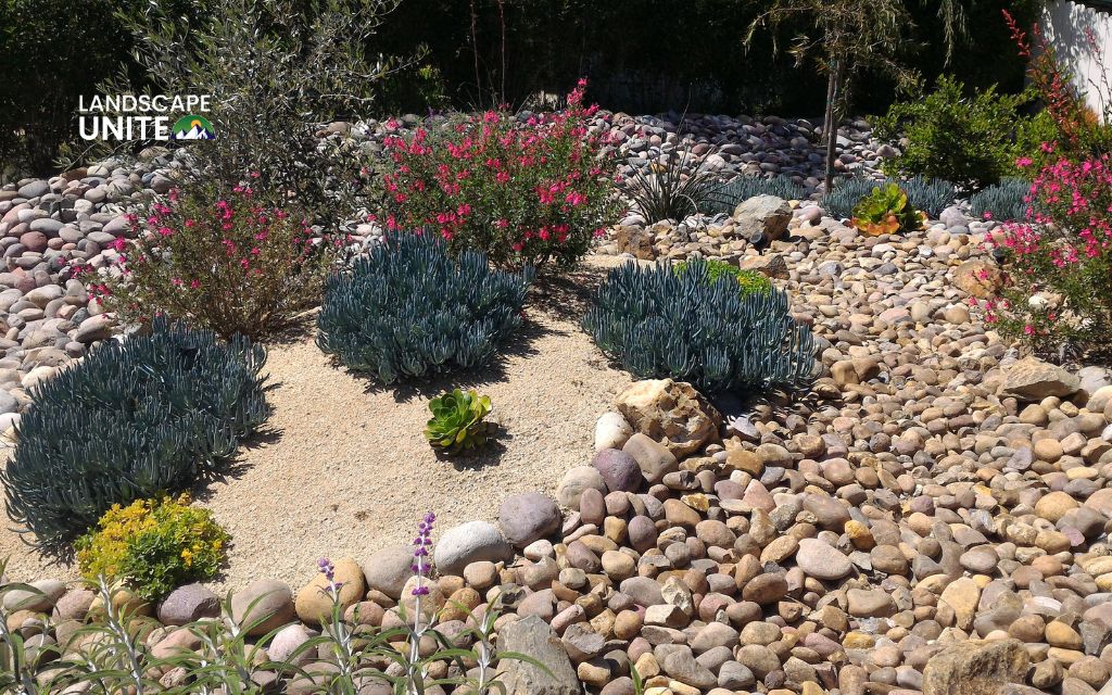 Confused about zeroscape vs xeriscape? Here's what they actually mean 1 Why people mix up zeroscape vs xeriscape