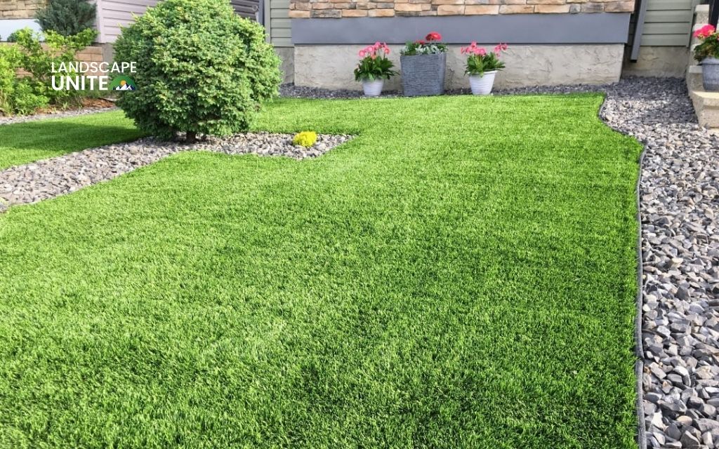 4 types of artificial grass: complete guide to choosing the perfect synthetic turf