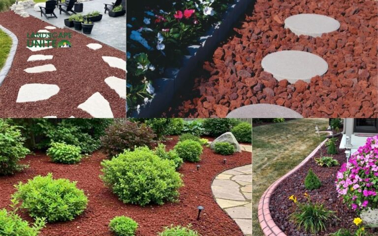 7 easy lava rock landscaping ideas for stunning yards