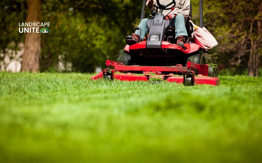 Best practices around mowing and treatments