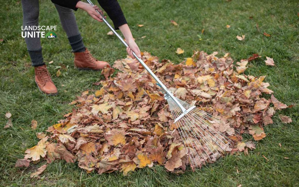 Clean and prep your garden