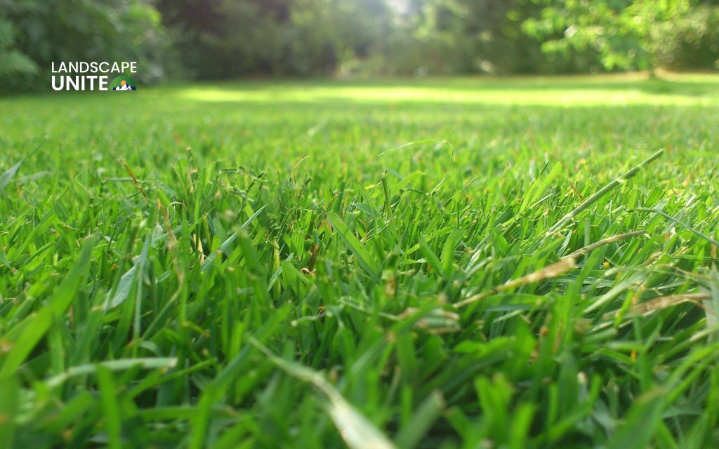 What are the recommended lawn mowing heights for each season? 1 General mowing height guidelines by season
