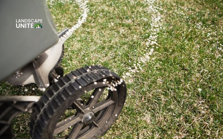 How long to wait to mow after lawn treatment: Expert guide